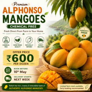 Premium Ratnagiri Alphonso Mangoes