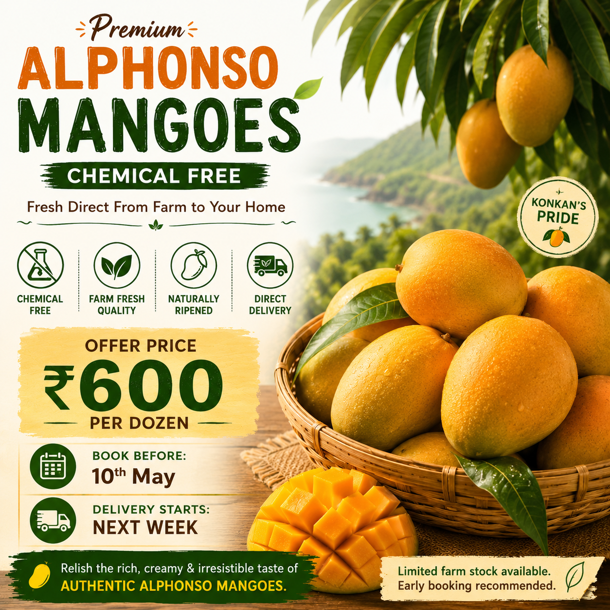 Premium Ratnagiri Alphonso Mangoes